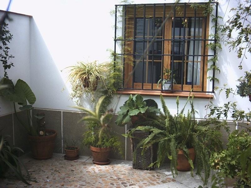 Casa Rural La Brena Talaván Exterior photo